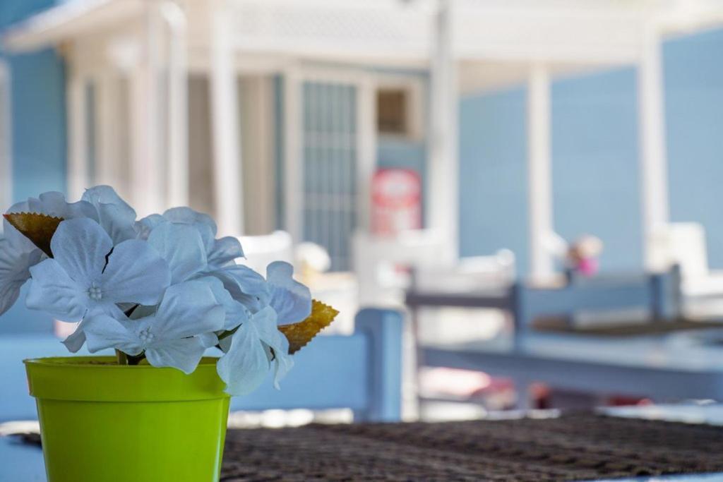 Cesme Minerva Port Hotel Luaran gambar
